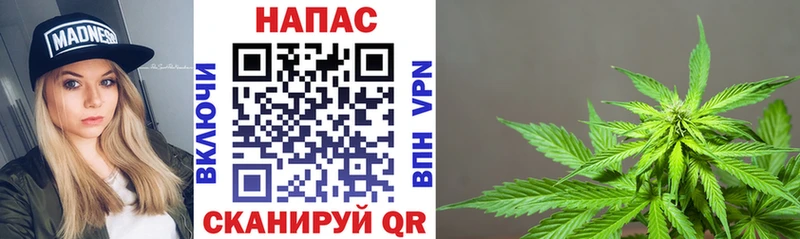 Метадон Гатчина