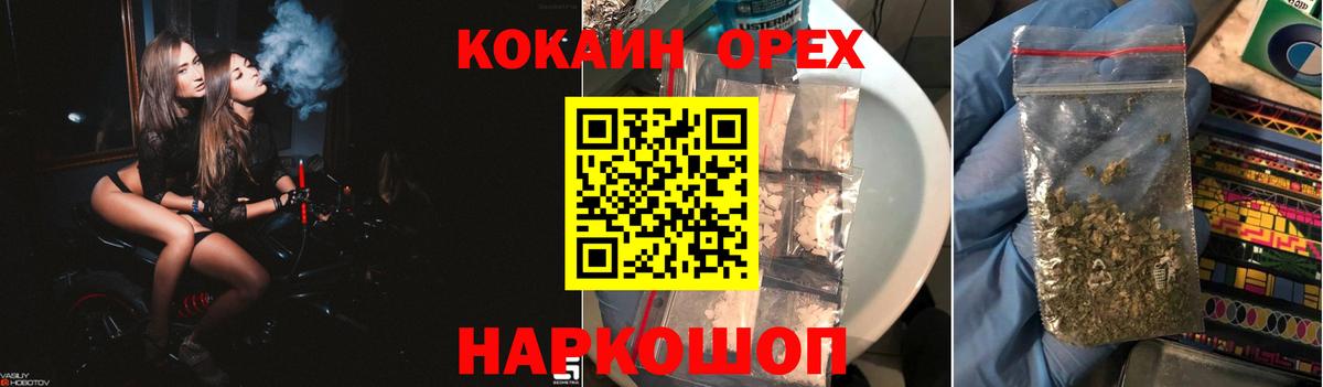  COCAIN Гатчина