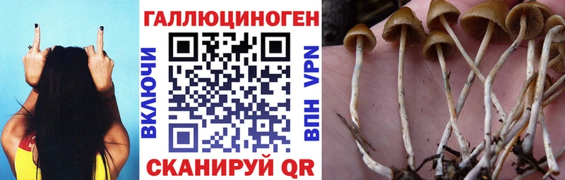 Галлюциногенные грибы мухоморы mega как зайти Гатчина