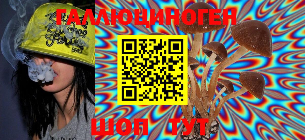 Псилоцибиновые грибы Magic Shrooms  Вход с VPN  Гатчина 