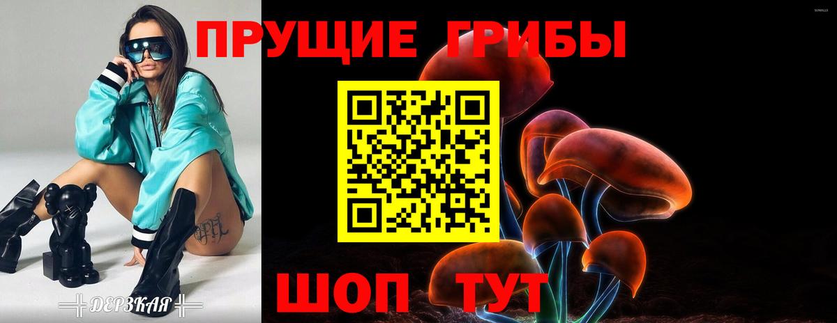 где продают наркотики  Гатчина  Псилоцибиновые грибы прущие грибы 